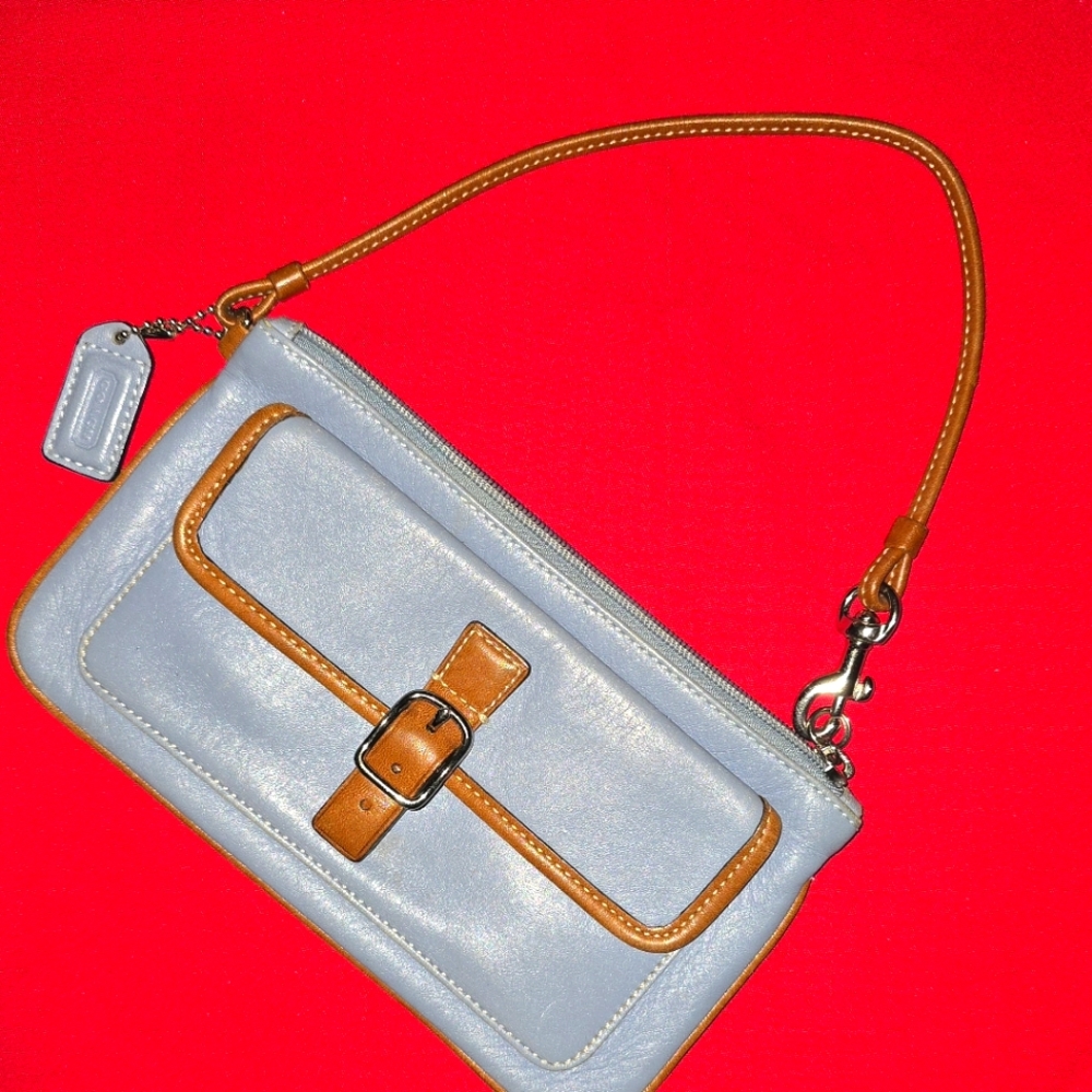 Coach Elegant Blue and Tan Women's Bag